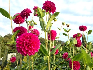写真 2014-10-26 16 00 57.jpg