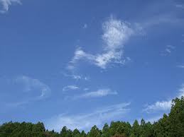 秋の空.jpg