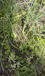 200804271320000.jpg
