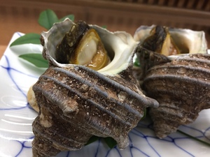 写真 2016-11-02 13 02 01.jpg