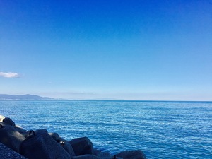 写真 2016-11-02 14 11 08.jpg