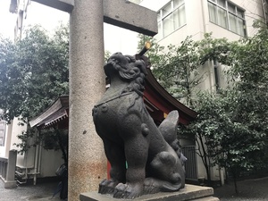 写真 2018-03-09 9 31 28.jpg