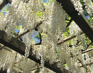 写真 2018-04-28 13 45 06.jpg