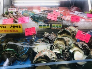 写真 2018-11-10 10 23 03.jpg