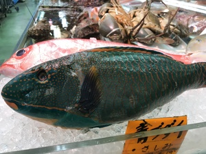 写真 2018-11-10 11 23 59.jpg