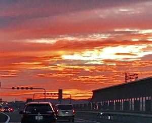 写真 2019-12-07 16 57 21.jpg