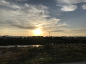 写真 2020-11-01 午前6 52 27.jpg