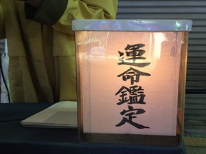 IMG_0155.jpg