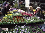 s-P1000194.jpg